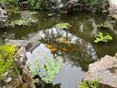-苏州冶园园林民宿(太湖西山风景区店)