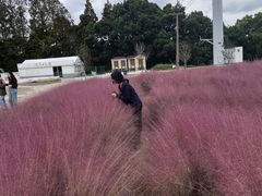-嘉北郊野公园