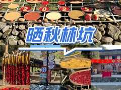 -林坑古村落