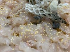 -官塘锋记鱼生·生腌·砂锅粥(牌坊街店)