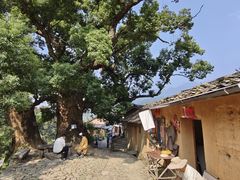 -杨家堂村