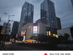 -丁家坡洋芋·观音桥好吃街A区(全国总店)