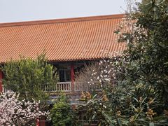 -开福禅寺