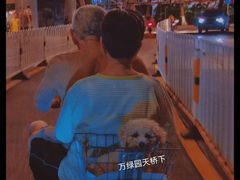-万绿园