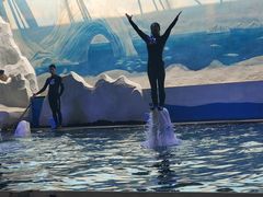 -秦皇岛乐岛海洋王国