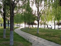 -咸阳湖景区