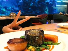 -迪拜帆船酒店海底餐厅