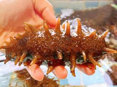 -四海蒸鲜蒸汽海鲜自助(北戴河店)