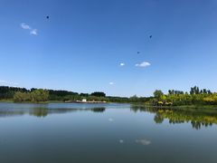 -东郊湿地公园