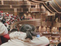 -交通银行前滩31演艺中心