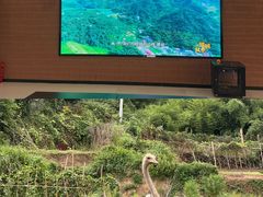 -长沙黑麋峰国家森林公园