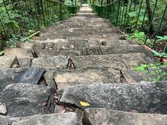 -老象峰