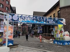 -中旅松花湖滑雪场