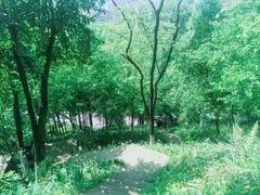 -重庆平顶山公园