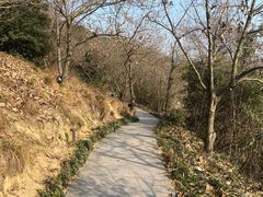-天目湖涵田度假村
