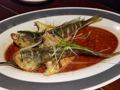 -前海沿·青岛菜(五四广场永旺店)