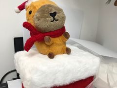-星巴克臻选(思南公馆店)
