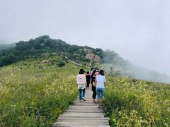 -白草畔自然风景区