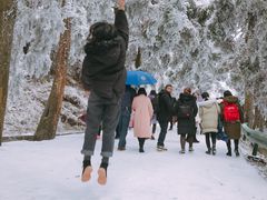 -南岳衡山风景名胜区