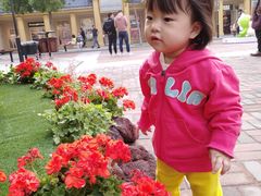 -COACH蔻驰(赛特奥特莱斯店)