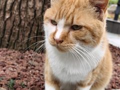 -人民公园-相亲角