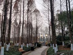 -绍兴镜湖国家城市湿地公园
