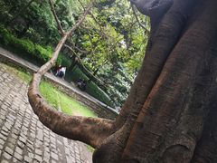 -成都市活水公园