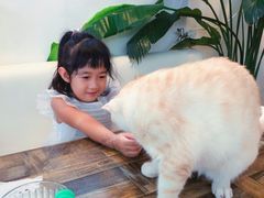 -小时光咖啡馆(北锣鼓巷店)