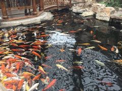 -龙达温泉生态城