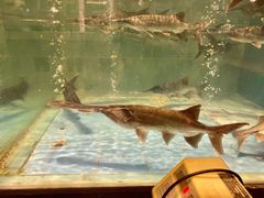 -漓江又一軒·广西菜·桂林米粉(梅林店)