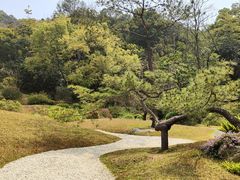 -云溪植物园