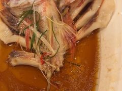 -全聚德(上海首店浦东店)