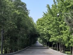 -秦始皇帝陵博物院(兵马俑)