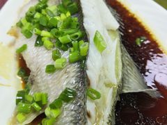 清蒸鲈鱼-裕华(南华东路店)