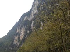 -毛大姐漓江特色啤酒鱼