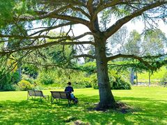 -墨尔本皇家植物园