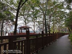 -广东花都湖国家湿地公园