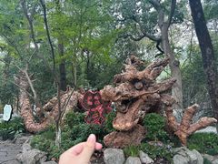 -杭州西湖风景名胜区-三生石