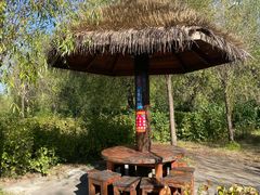 -呼兰河口湿地公园