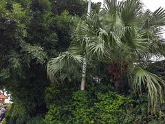 -青澳湾北回归线广场