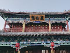 -凤临阁