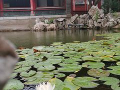 -碑林公园