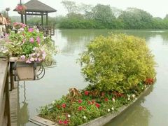 -大湾区中央湿地公园