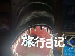 -南昌海洋公园