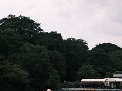 -井之头恩赐公园