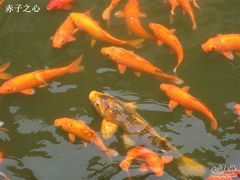 -浙江省博物馆(孤山馆区)