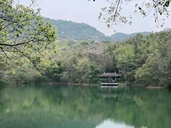 -杭州半山国家森林公园