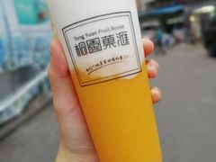 -桐园果汇(湖贝店)