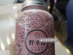 -野萃山·潮汕厚果汁(十亩地店)
