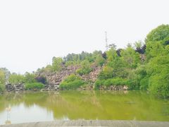 -铁山坪森林公园